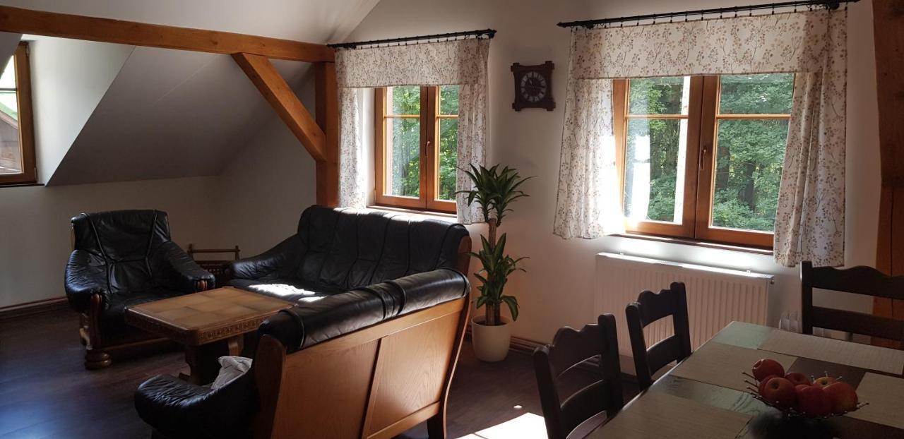 Apartman Jizerka Kořenov エクステリア 写真
