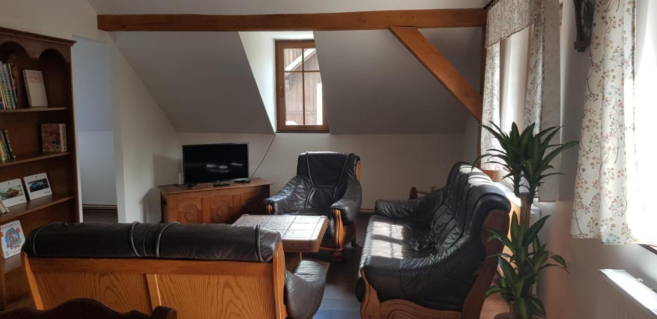 Apartman Jizerka Kořenov エクステリア 写真