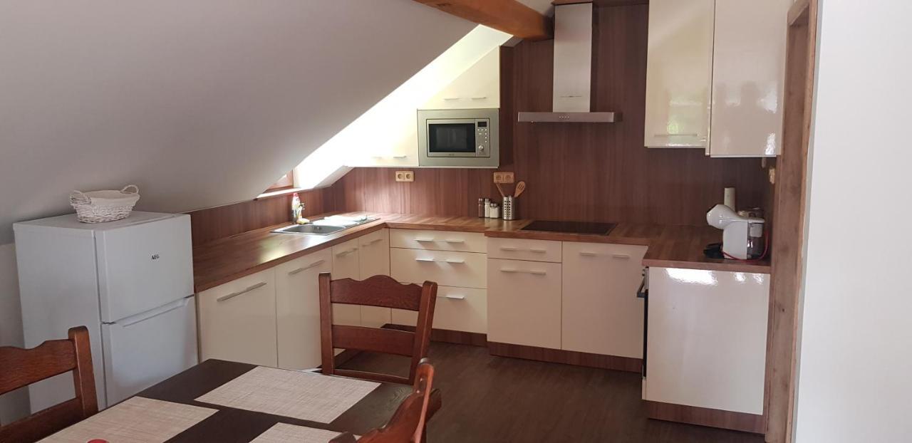 Apartman Jizerka Kořenov エクステリア 写真