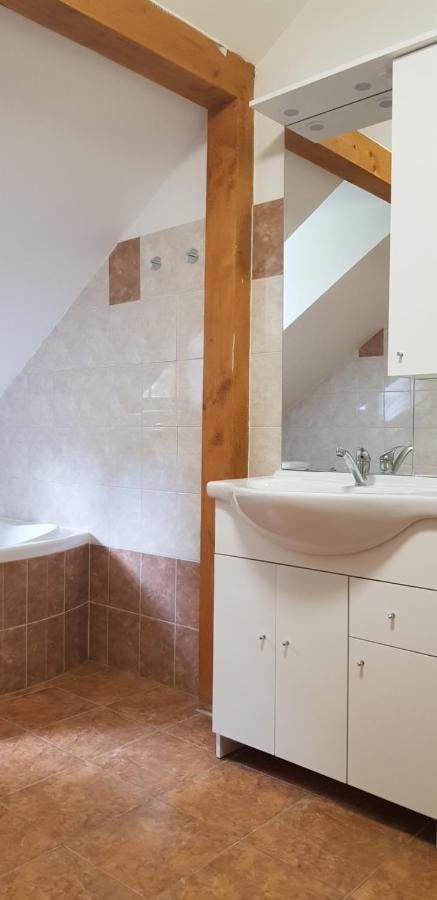 Apartman Jizerka Kořenov エクステリア 写真